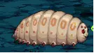 戮蛊幼虫.png